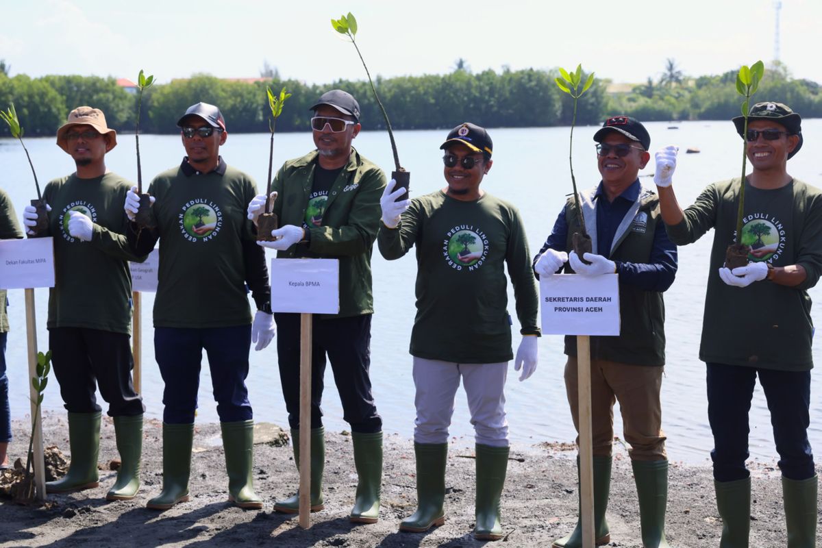 BPMA dan Medco E&P Malaka Gelar Aksi Tanam 1.000 Mangrove di Banda Aceh