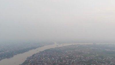 DPR: Malaysia-Singapura Buka Sawit di RI, Harusnya Ikut Cegah Karhutla