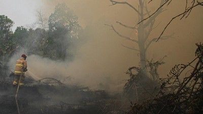 Jepang Kirim 3 Helikopter, Bantu RI Tangani Karhutla Kalimantan