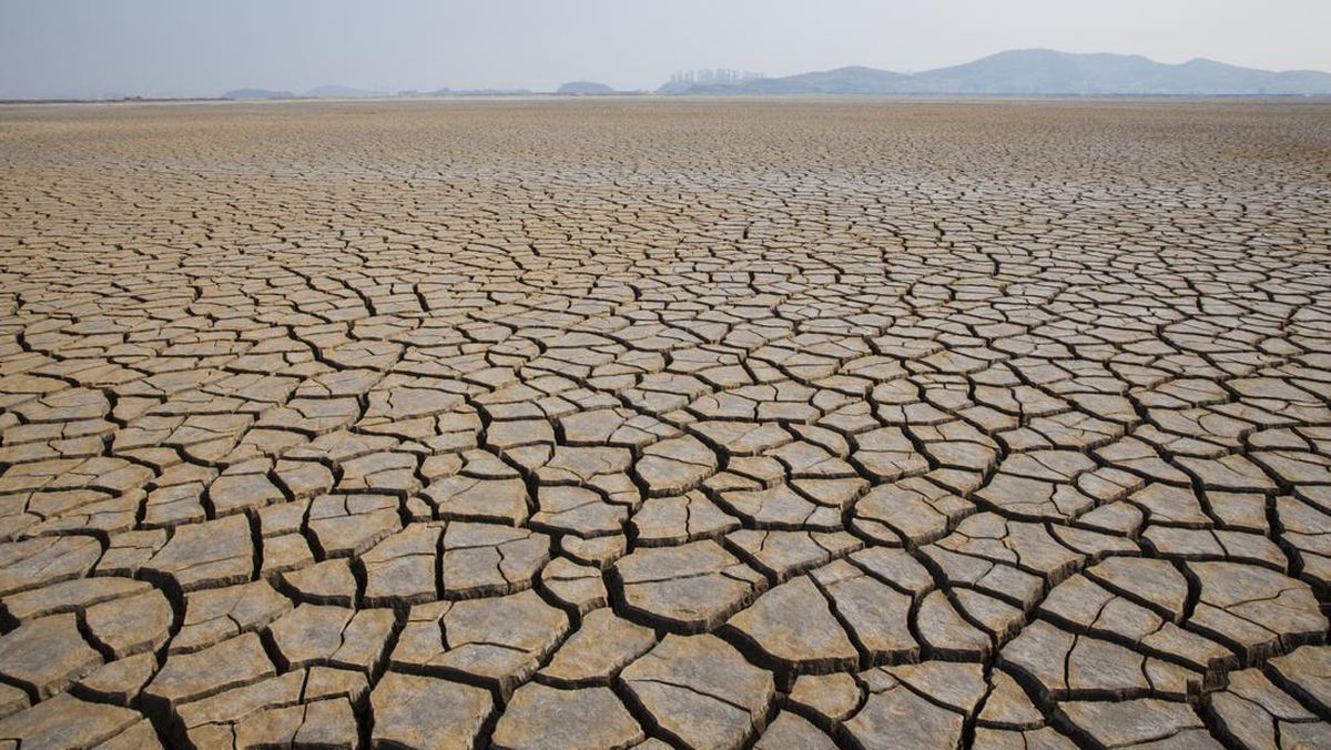 Badan Cuaca PBB: El Nino Bisa Menjadi yang Terparah dalam Sejarah